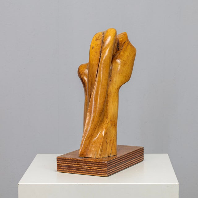 Abstract Organic Wood Sculpture by H. Hinfelaar, Netherlands, 1980s For Sale - Image 4 of 11