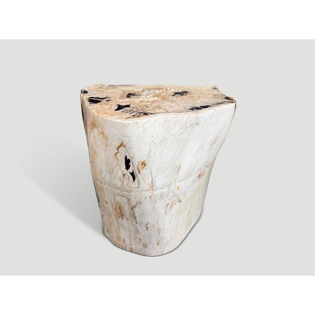 Beautiful pale tones on this ancient petrified wood side table with striking black tones. It’s fascinating how Mother...