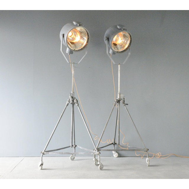 Gray Inspection Floor Lamp by Peter Behrens for Zeiss Ikon, 1890s For Sale - Image 8 of 14