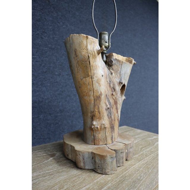 Wood Natural Driftwood Table Lamp With Woodpecker Hole For Sale - Image 7 of 12