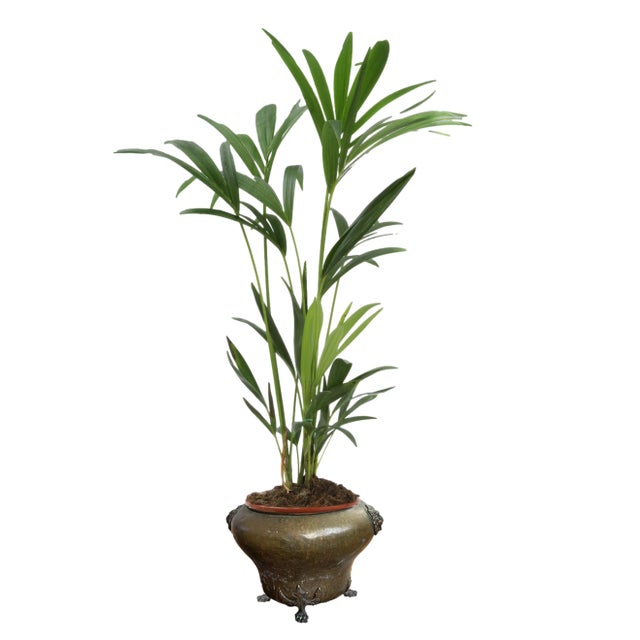 Antique Russian footed planter in brass patinaed to perfection. Charming details include sculptural profile, claw feet...