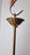 Chandelier in Brass and Clear Glass by Ercole Barovier for Barovier & Toso, 1960s For Sale - Image 13 of 18