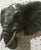 Bronze Mid-Century Modern Pair of Bronze Elephant Heads For Sale - Image 8 of 9