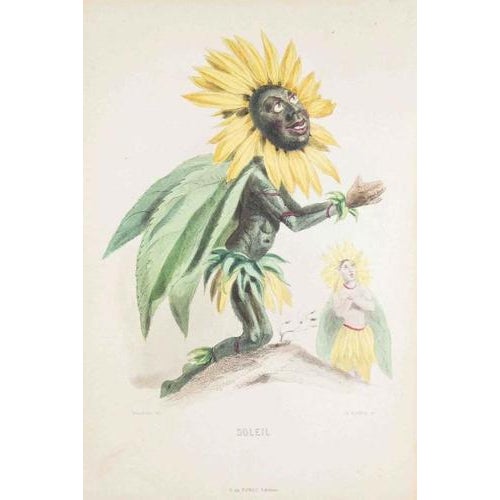 Lithograph on paper. Plate from the series "les fleurs animées". Single sheet with passepartout. "\.the rebellious...