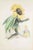 Lithograph on paper. Plate from the series "les fleurs animées". Single sheet with passepartout. "\.the rebellious...