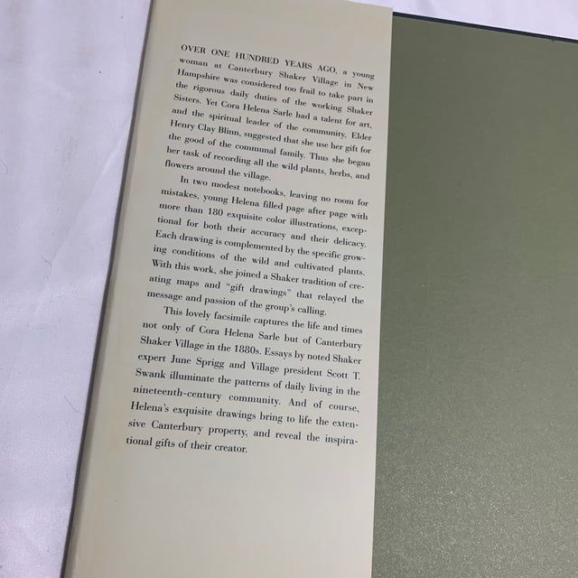 A Shaker Sister’s Drawings - Wild Plants Illustrated by Cora Helena Sarle - Hardcover Book - 1997 For Sale - Image 9 of 10