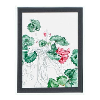 Cyclamen - Botanical Study by Deborah Eddy For Sale