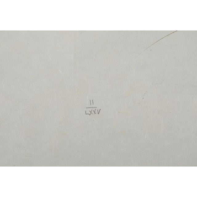 Salvador Dali, Nude, Brother Ogrin, The Hermit, 1970, Engraving For Sale - Image 5 of 7