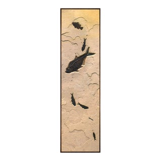Fossil Fish Mural 2008cm For Sale