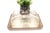 Glass Cheese Bowl with Floral Reliefs For Sale - Image 6 of 7