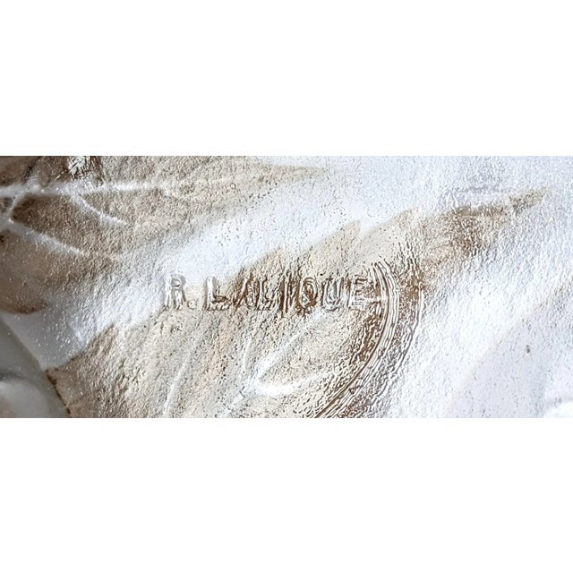 French Art Deco Pendant Chandelier by René Lalique Model Dahlias (pair avaiable) For Sale - Image 10 of 10