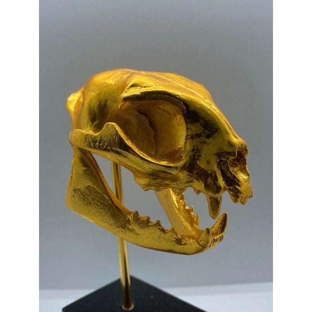 Golden Cat Skull Desk Sculpture on Black Marble Base For Sale - Image 10 of 11