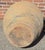 Camel Antique Large 32" Mediterranean Textured Terracotta Olive Jar With Brown Glazed Rim For Sale - Image 8 of 8