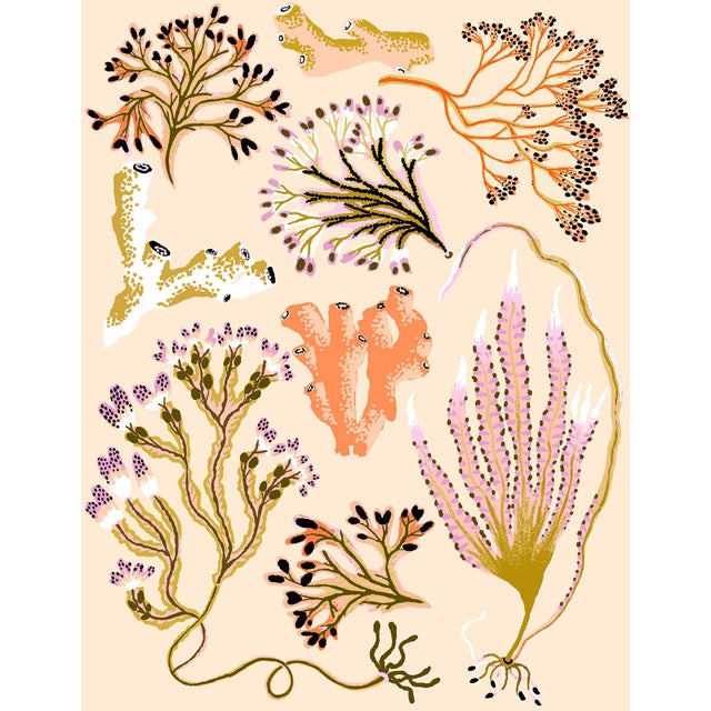 Seaweed Botanica (Sand) Giclee Print by Sarah Gordon For Sale