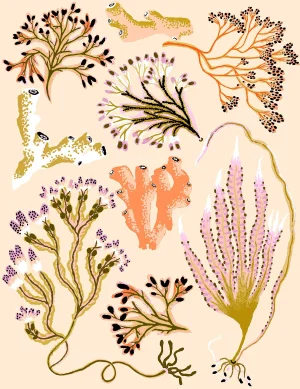 Seaweed Botanica (Sand) Giclee Print by Sarah Gordon