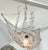 Italian Vintage Venetian Style Lucite Crystal Ship Motif Chandelier For Sale - Image 12 of 18