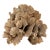 Exceptional Natural Unbleached Poca Coral Specimen For Sale