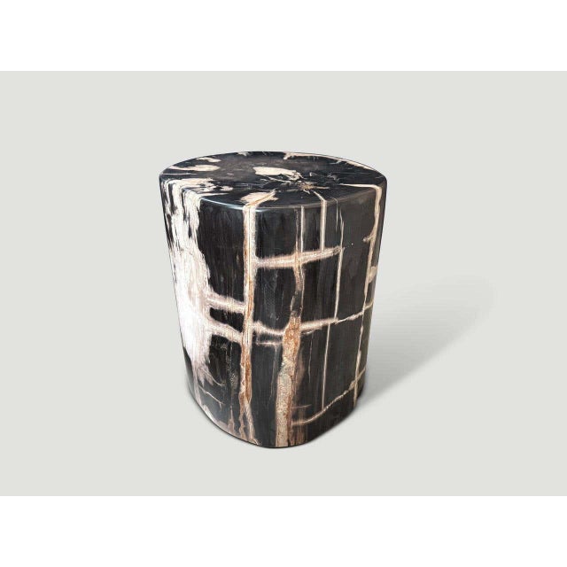 Wood Andrianna Shamaris Exquisite Ancient Petrified Wood Side Table For Sale - Image 7 of 8