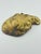 Vintage Brass Shell Trinket Dish For Sale In New Orleans - Image 6 of 6