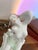 Nude Woman in Aquincum Porcelain, 1980s For Sale - Image 4 of 5