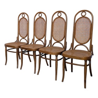 Mid-Century Modern Bentwood Cane Dining Chairs, 1970s, Set of 4 For Sale