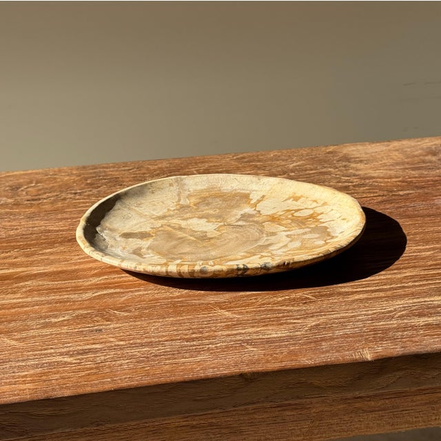Small Trinket Tray in Speckled Beige Petrified Wood For Sale - Image 5 of 18
