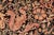 Shabby Chic Shabby Chic 1990's Pak-Persian Black/Red Wool Rug - 6'0'' X 9'3'' For Sale - Image 3 of 9