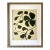 2026 "L'Aiuola Bruciata Series No. 1" Abstract Botanical Painting on Paper by Artist r.k. Red For Sale