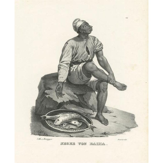 Schinz, Native of Bahia, Brazil, Print For Sale - Image 6 of 6