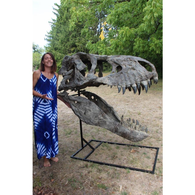 Reproduction of a Tyrannosaurus head based on a model held at the Tristan Otto Museum in Copenhagen. This museum-quality...