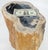 Beige Black Petrified Wood Organic Stomp Shape Stand End Side Table Pedestal For Sale - Image 10 of 10