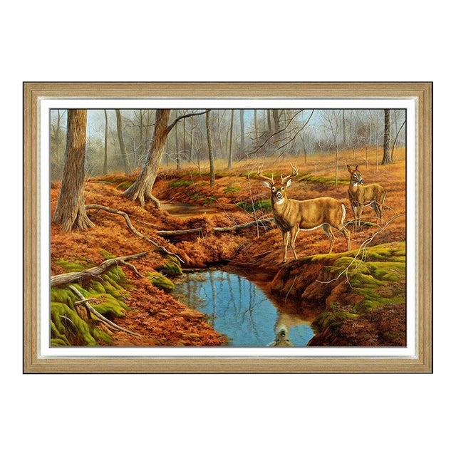 Late 20th Century White Tailed Deer, Judy Gibson For Sale
