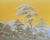 Zuber, Japanese Garden Landscape Scene, 1890s, Paper, Framed For Sale - Image 4 of 11
