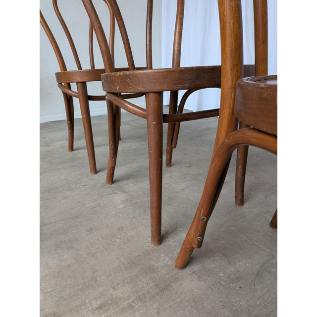 Vintage Carved Bentwood Farmhouse Dining Chairs, 1970s, Set of 3 For Sale - Image 16 of 18