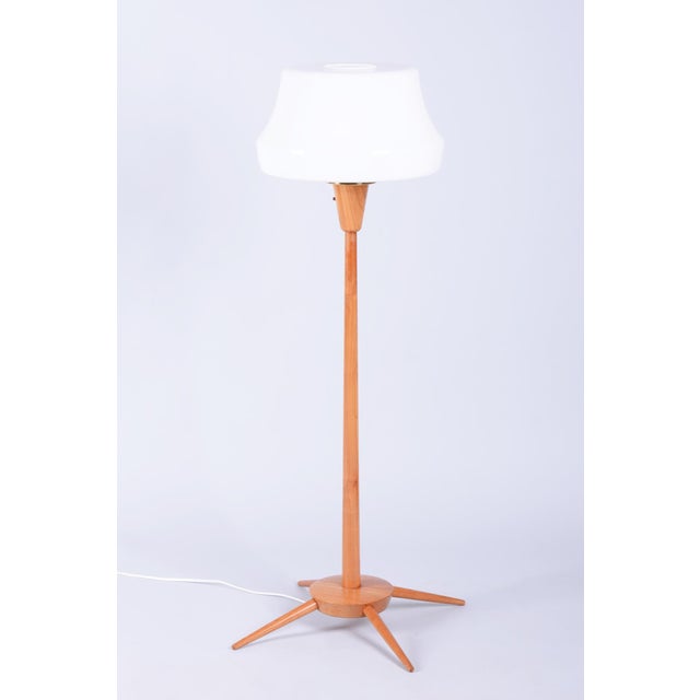 Mid-Century Modern Floor Lamp in Beech from Úluv, 1960s For Sale - Image 9 of 9