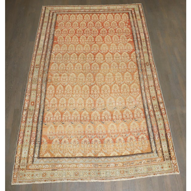Early 20th Century Persian Malayer Paisley Antique Rug no. j5189 For Sale - Image 5 of 8