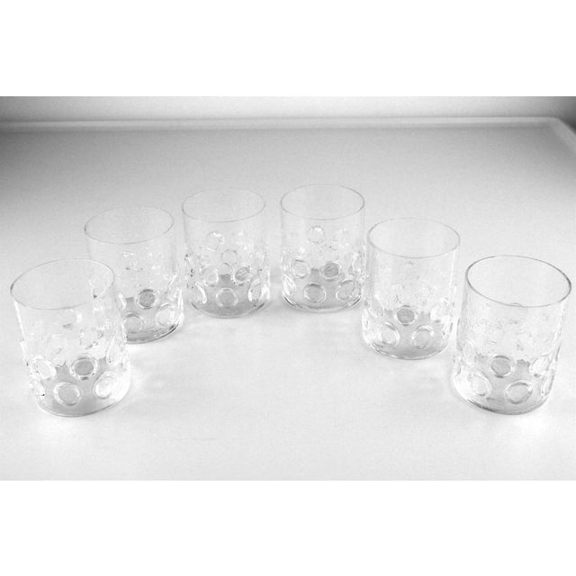 1960s Model Evergreen Shot Glasses from Riedel, 1960s, Set of 6 For Sale - Image 5 of 15