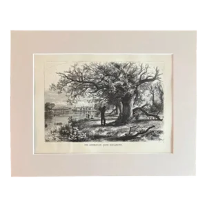 Antique 1874 Wood Engraving "The Connecticut, Above Middletown" in 11x14 Mat