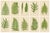 Edward J. Lowe, Tropical Ferns, 1856, Lithographs, Set of 10 For Sale - Image 14 of 14