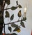 Italian Vintage Italian Tole Citrus Wall Sconce For Sale - Image 3 of 15