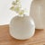 Early 21st Century Niall Vase Small For Sale - Image 5 of 6