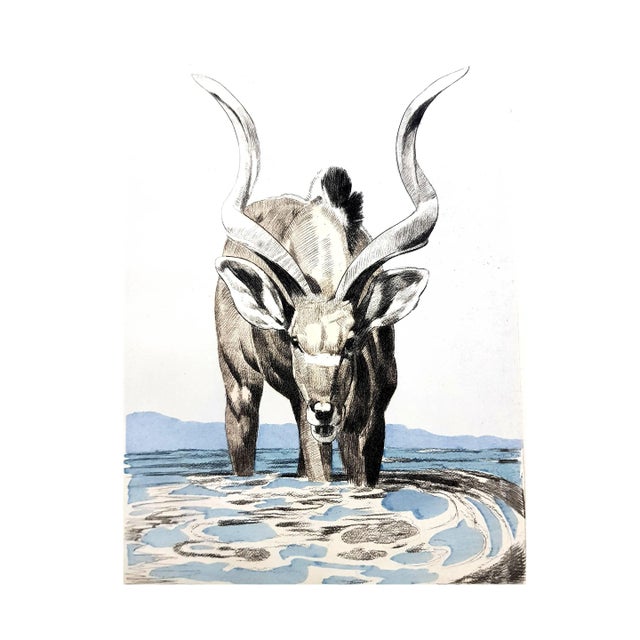 Paul Jouve - Antelope - Original Engraving 1950 For Sale