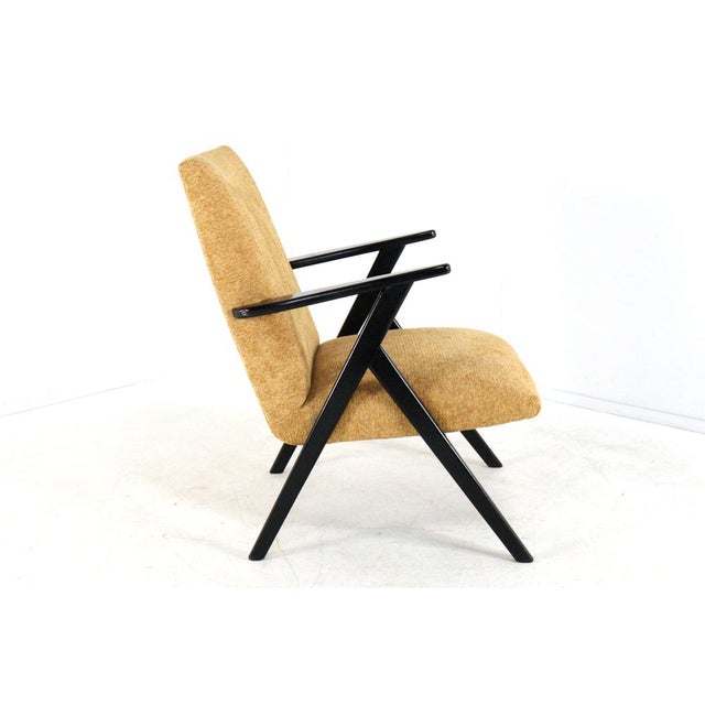 De Lier Lounge Chair For Sale - Image 13 of 16