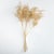 No better way to create drama in your arrangement than with a tall gilded stem. At 36 inches, it creates a high design,...