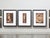 Three image collection. Untitled (female nudes), 1925 Photogravure on heavy coated vellum From Woman, Nature and...