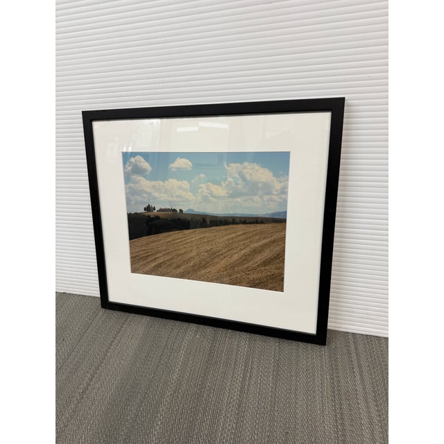 Design Plus Gallery presents a Framed Tuscan Countryside Photograph. The image captures a golden harvested field leading...