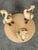 Wood 1960s Coastal Sea Bird Coffee Table For Sale - Image 7 of 9
