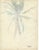 Grace Spongberg (American, 1906-1992) "Cocoanut Palm Public Beach Waikiki" oil pastel on paper, estate stamp on reverse....