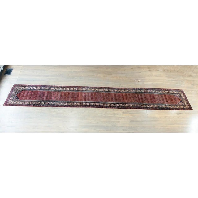 Early 20th Century Persian Seraband Rug For Sale - Image 12 of 13