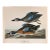 1964 Audubon Folio Lithograph Great Bird Paintings – “Blue Winged Teal” 14x17 For Sale